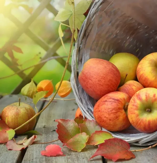 Quelles collations santé pour un rééquilibrage alimentaire ?