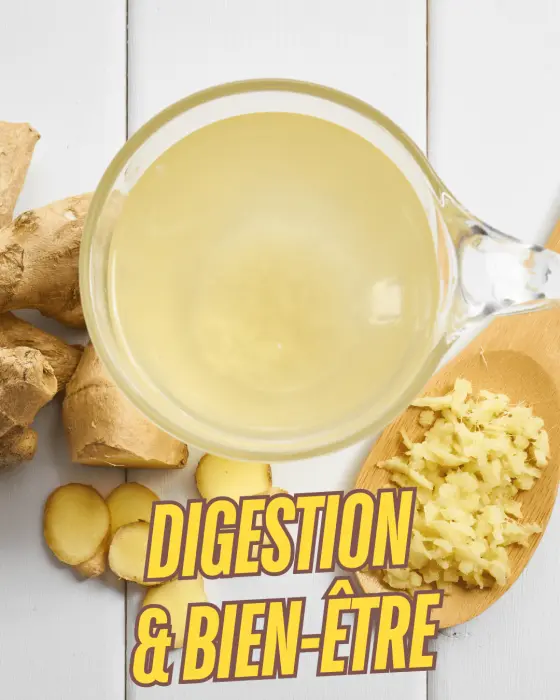 Digestion & Bien-être : La Clé Naturelle du Rééquilibrage Alimentaire